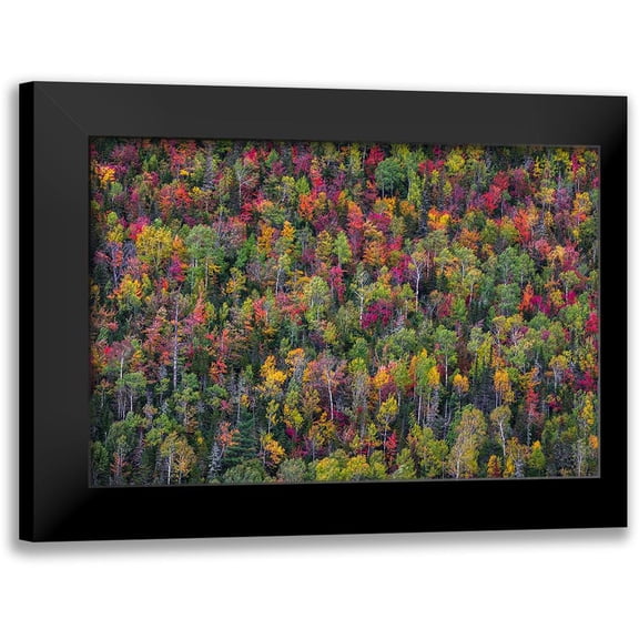 Miroslaw 14x11 Black Modern Framed Museum Art Print Titled - Color Palette