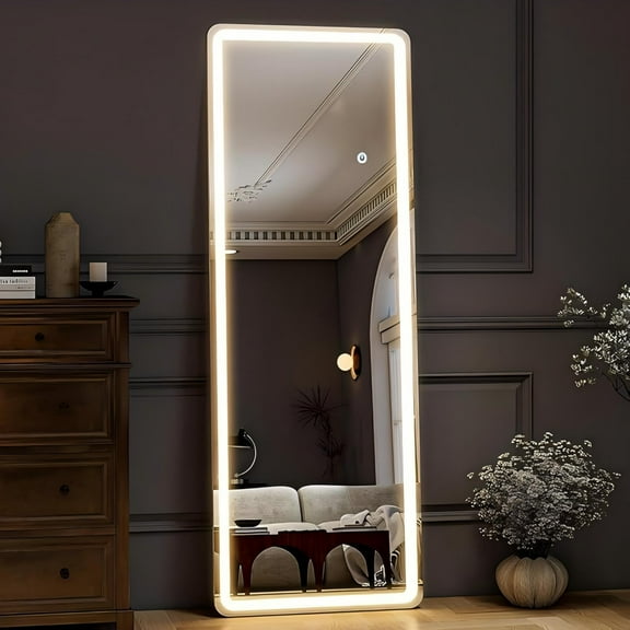 Mirrasia 60" x 16" LED Full Length Mirror Floor Mirror Wall Mounted,White
