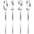 thumbnail image 1 of Mirror Cake Topper Party Supplies - Silver 1, 1 of 1