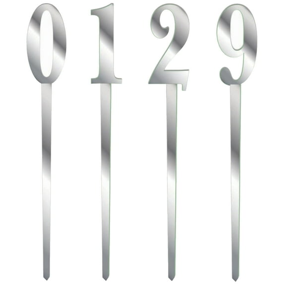 Mirror Cake Topper Party Supplies - Silver 1