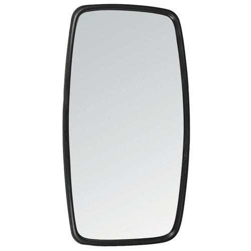 Mirror Head 9" x 16"