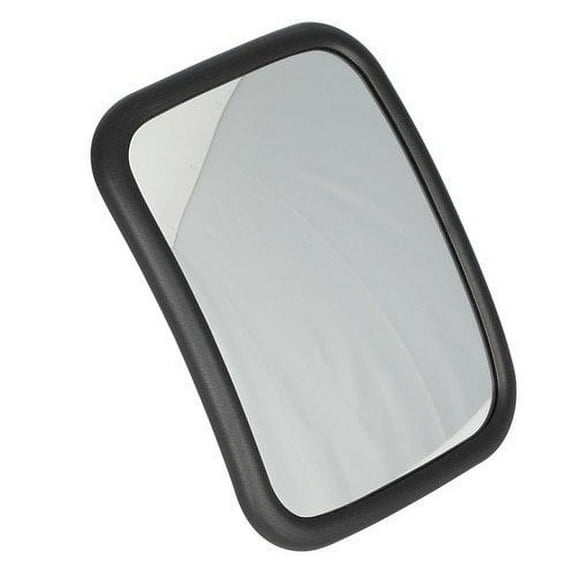 Mirror Head Little Hoss 6" x 8"