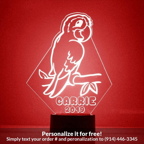 Mirror Magic Store Parrot Color Changing Personalized LED Light with Remote Control