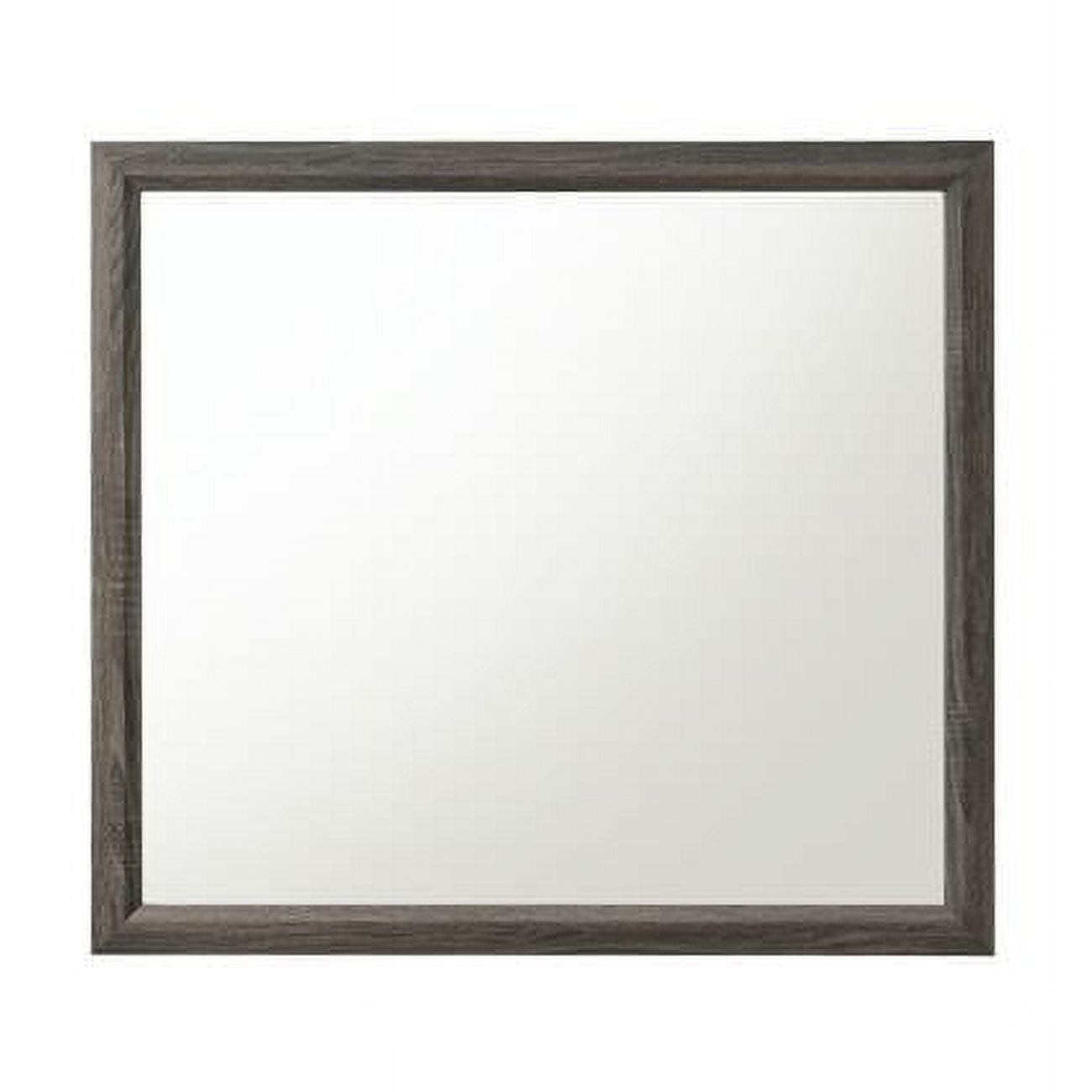 Valdemar 39" Full-Length Rectangular Wood Mirror in Weathered Gray