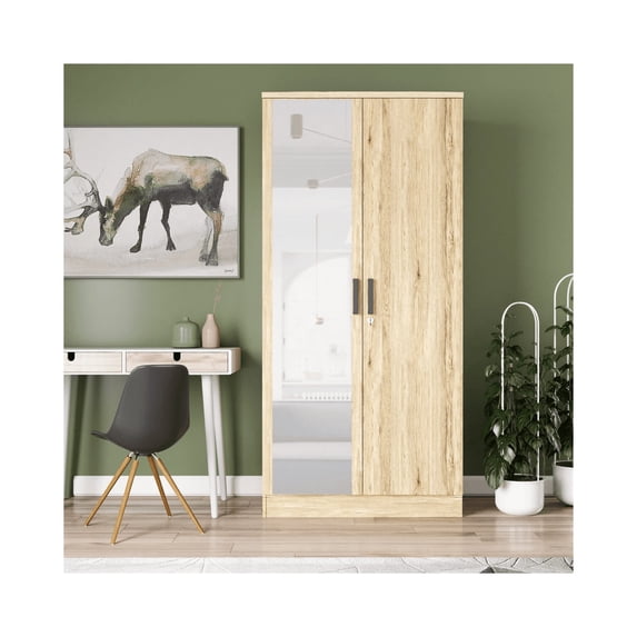 Woodpeckers Furniture and Mattress Mirrored 2 Door Wardrobe in Multi Color