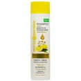 thumbnail image 1 of Mirta de Perales, Lemon Chamomile Hair Shampoo 10 oz, 1 of 5