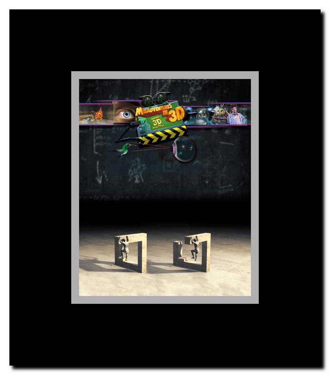 Misadventures in 3D Framed Movie Poster