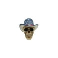 thumbnail image 1 of Miscellaneous Novelty & Toys P754752 Skull with American Cowboy Hat, 1 of 5