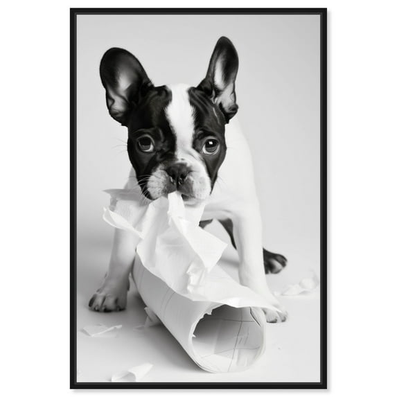 Mischief Frenchie Paper Towels Canvas Funny Bathroom Art by Art Remedy, Black Frame, 10" x 15"