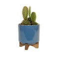 thumbnail image 1 of Misco Ceramic Planter with Wood Stand, 6.5 Inch in Height Planter and 5.1 Inch in Diameter, Blue Ceramic Pot for Plants and Flowers for Indoor and Outdoor, Modern Decorative for The Home…, 1 of 4