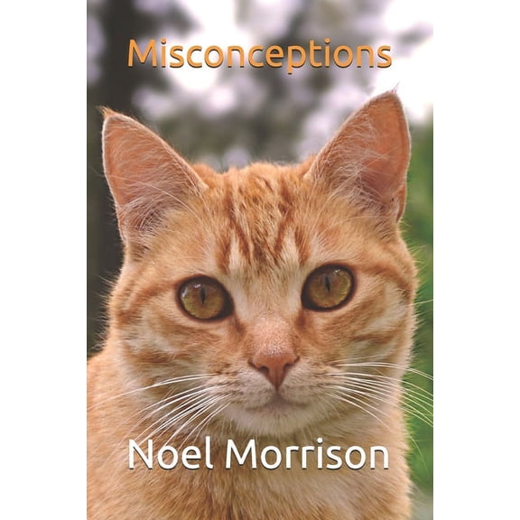 Misconceptions (Paperback)