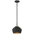 thumbnail image 1 of Miseno FL96012 9 in. 100W 1-Light Medium E-26 Pendant with Antique Brass, Black, 1 of 5
