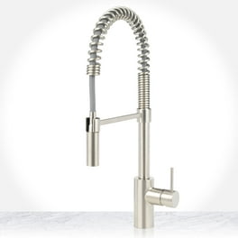 Danze Parma Single Handle Pull-Out Kitchen Faucet with