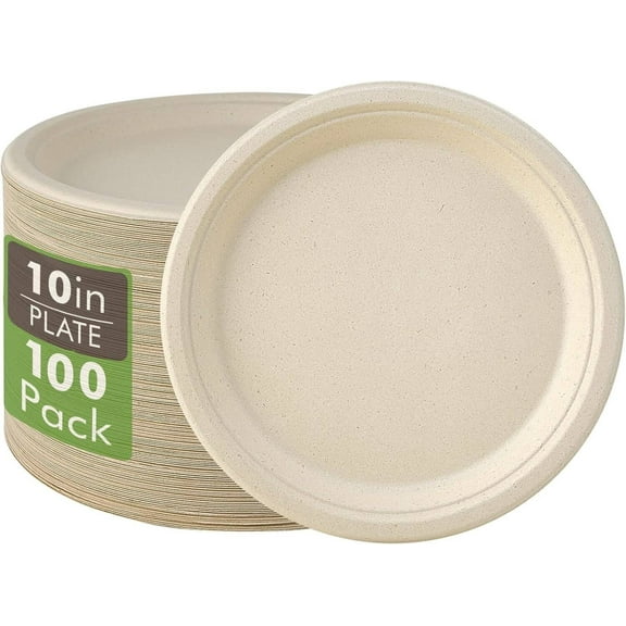 Mishitina 100% Compostable Paper Plates,Heavy Duty Disposable Plates [100-Pack] 10 Inch Plates - Eco-Friendly, Biodegradable Sugarcane Bagasse