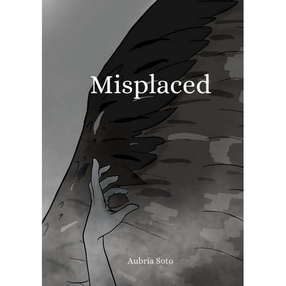 Misplaced (Paperback)