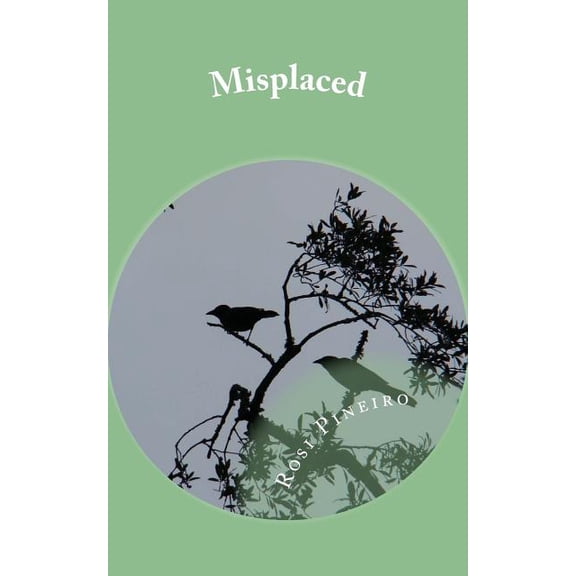 Misplaced (Paperback)