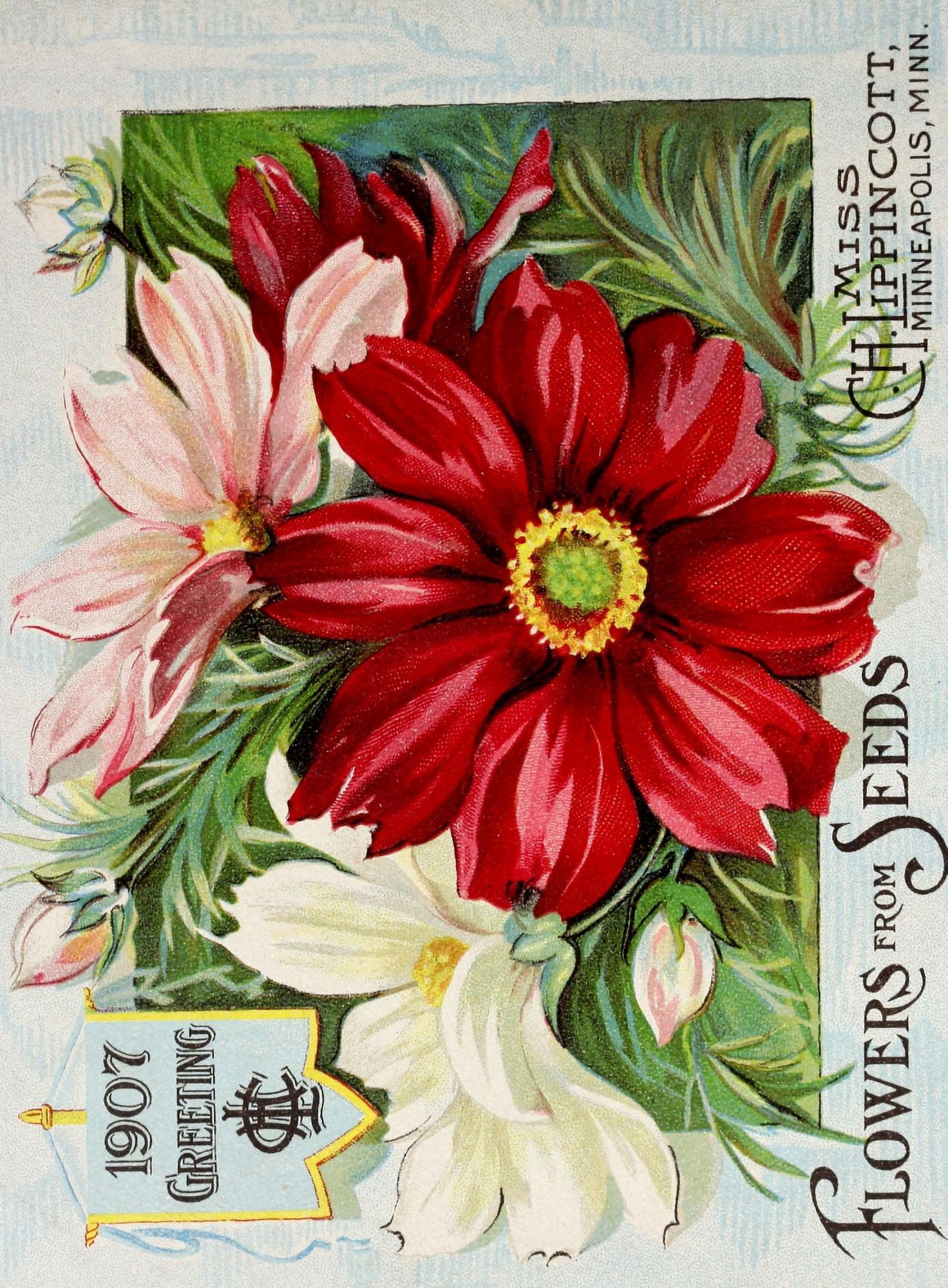 Miss CH Lippincott 1907 Flowers Canvas Art - (24 x 36)