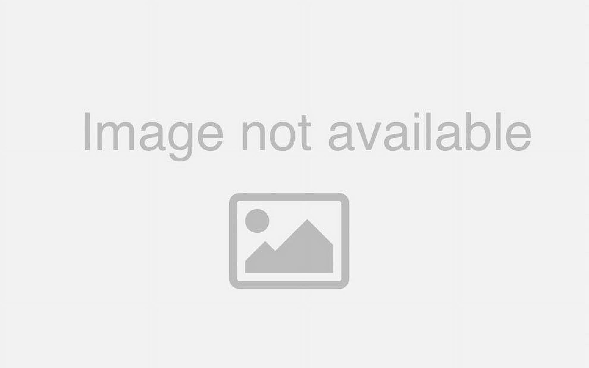 Miss May 1944 Esquire Magazine Vintage Pin Up Girl Print by Alberto