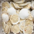 thumbnail image 1 of Miss Sallys St Jacques Raw Appetizer Scallop, 4.68 Pound, 1 of 3