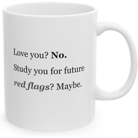 MissDaisy-Funny Ex Relationship Mug - Love You? No. Study You for Future Red Flags? Maybe. - Sarcastic Coffee Cup for Women After Breakups - Toxic Relationship Humor Gift - 11oz Ceramic Mug
