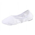 thumbnail image 1 of Missfiona Women's Ballet Flats Canvas Ballet Slipper Dance Yoga Practice Shoes(7,White), 1 of 6