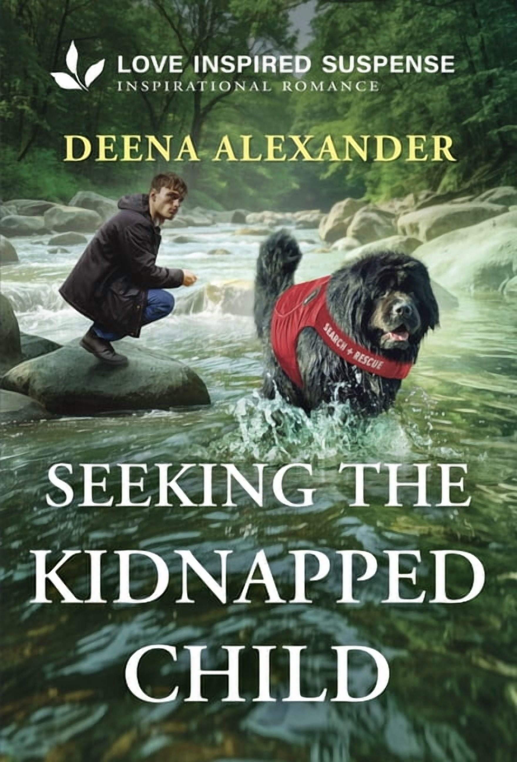 Seeking the Kidnapped Child, (Missing Person Investigations, Book 1)