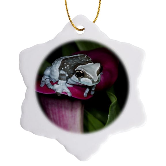3drose, Mission Golden-eye Tree Frog, Amazon Milk Frog Portrait on Flower., 3 inch Snowflake Porcelain Ornament