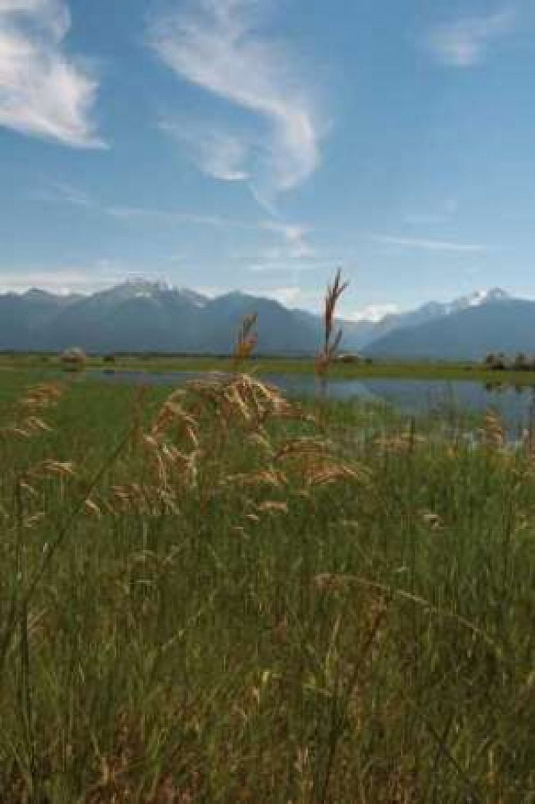 Mission Mountain Range Canvas Art - Erin Berzel (20 x 28)