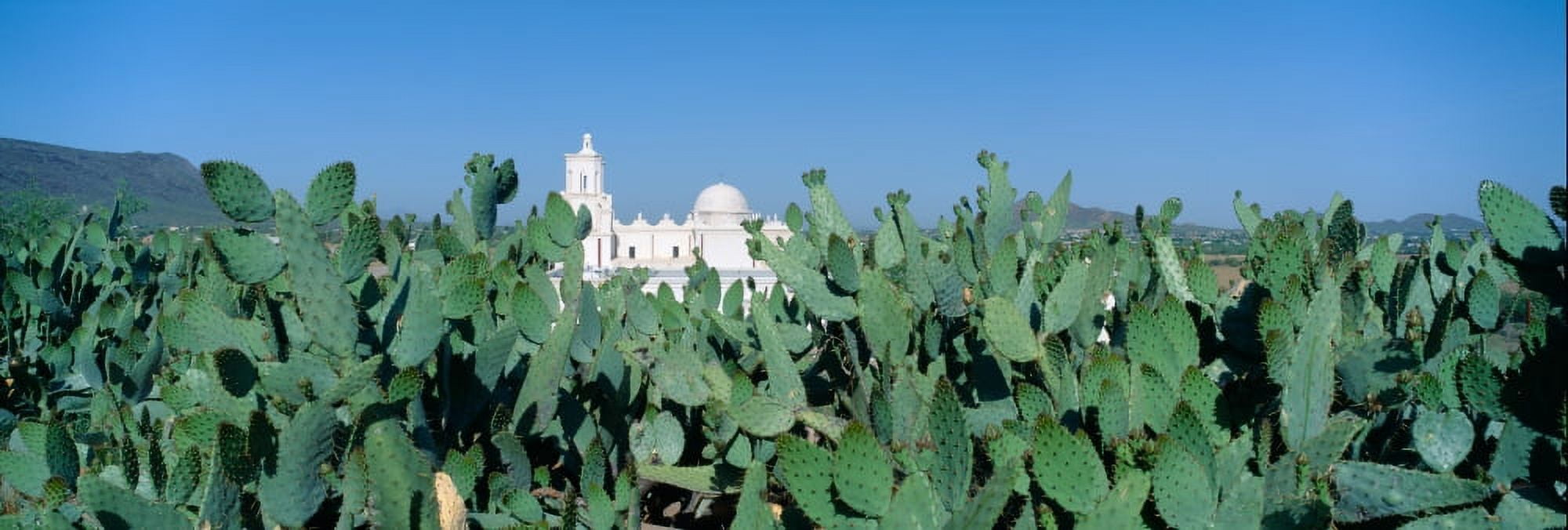 Mission San Xavier del Bac from 1783-1797 Tucson Arizona Canvas Art - Panoramic Images (27 x 9)