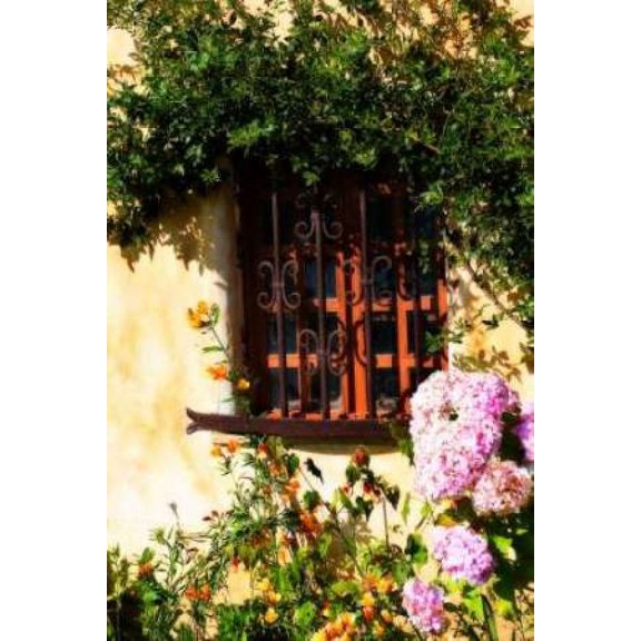 Mission Window Poster Print by Alan Hausenflock (12 x 18)