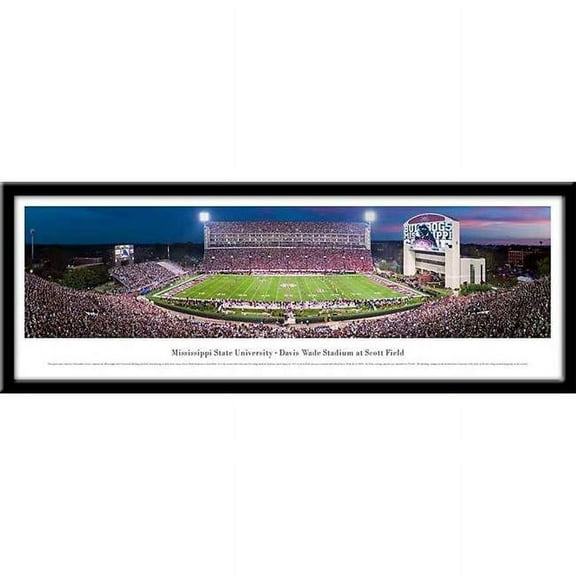 Mississippi State Bulldogsframed Stadium