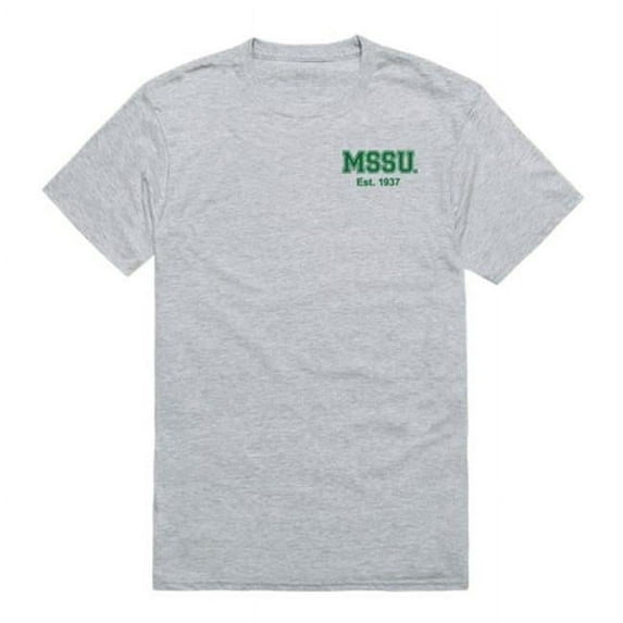 Missouri Southern State University Lions Practice T-Shirt, Heather Grey - Large
