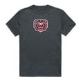 thumbnail image 1 of Missouri State University Bears Cinder College T-Shirt, Heather Charcoal - Large, 1 of 1