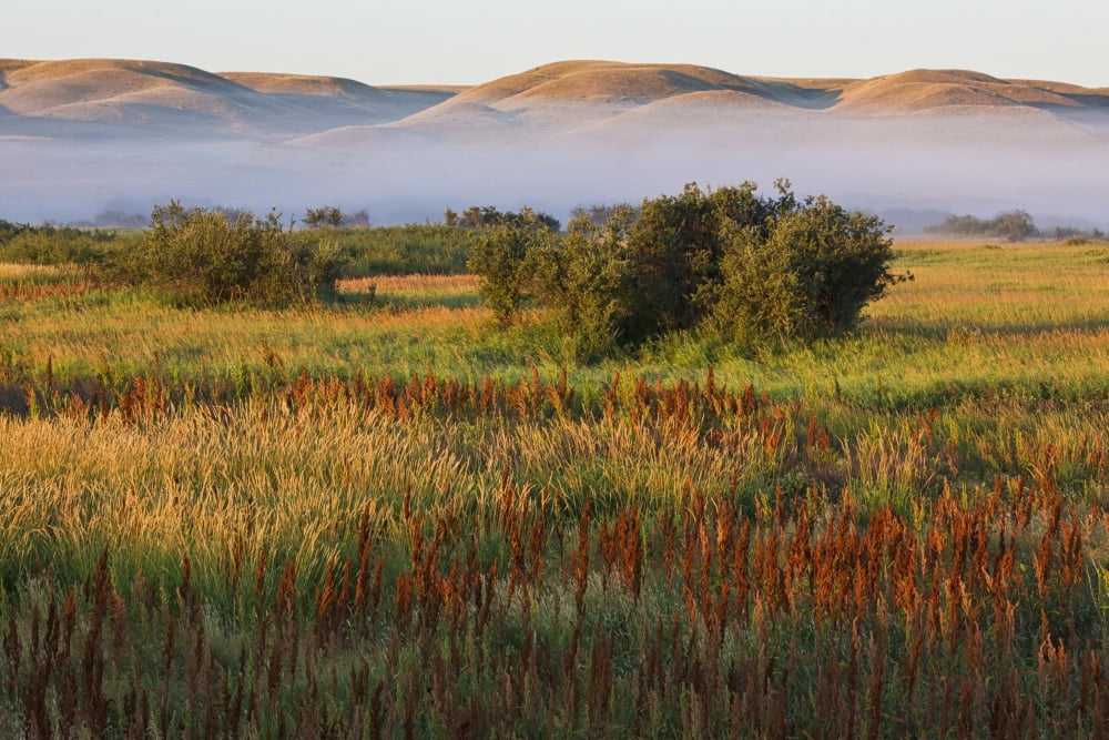 Mist At Sunrise In Frenchman River Valley Of Grasslands National ParkSaskatchewan Canada Canvas Art - Robert Postma Design Pics (19 x 12)