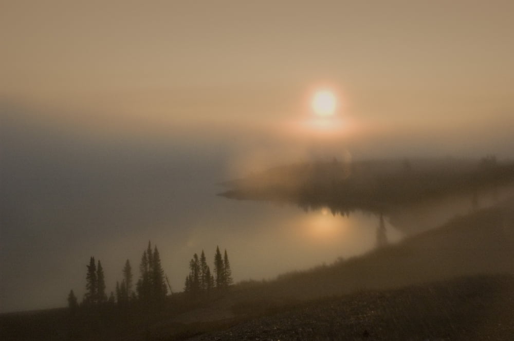 Mist On Lake At Sunrise Whitefish Lake Nwt Canvas Art - Rebecca Grambo Design Pics (18 x 11)