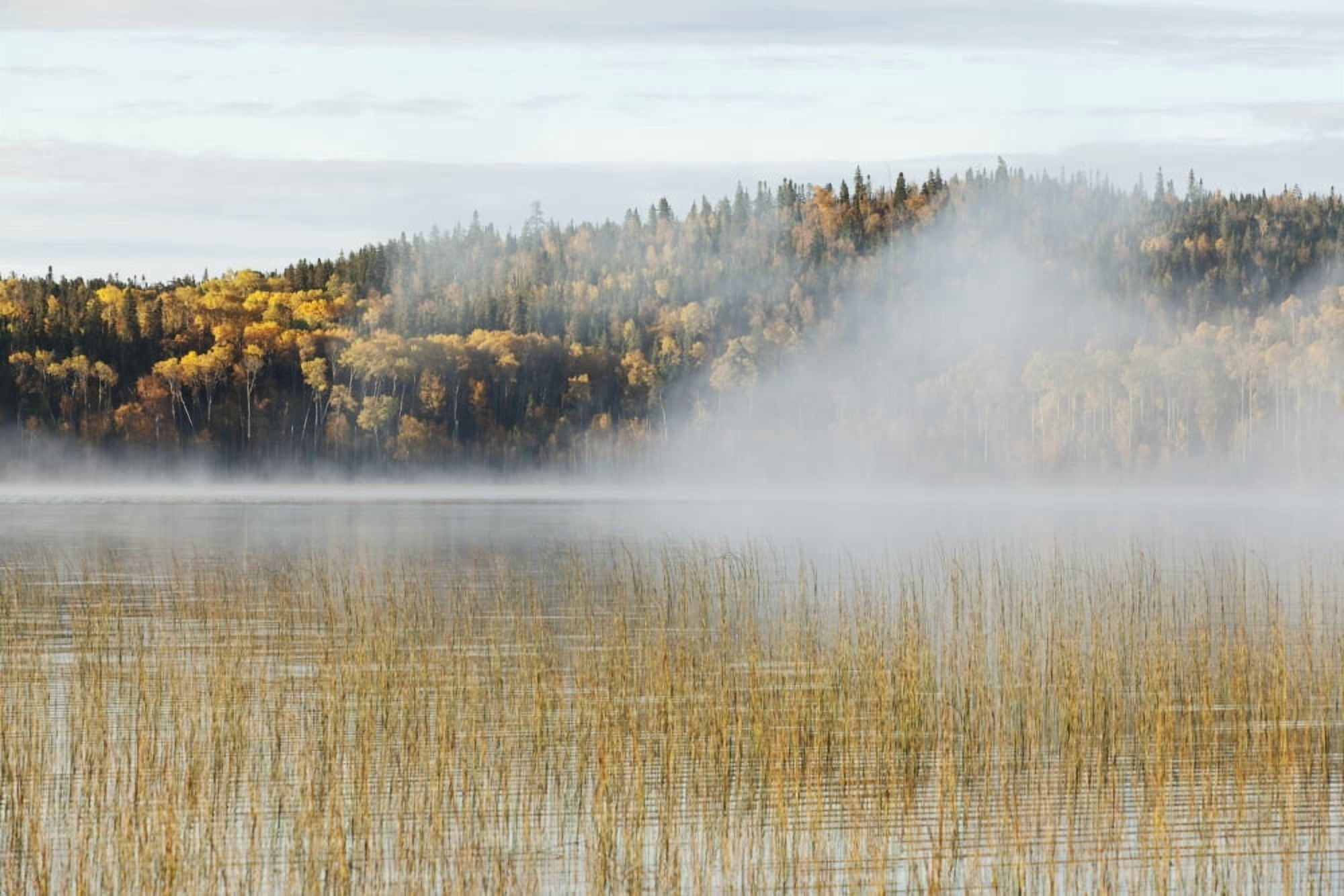 Mist Over A Lake In Autumn Ontario Canada Canvas Art - Susan Dykstra Design Pics (19 x 12)
