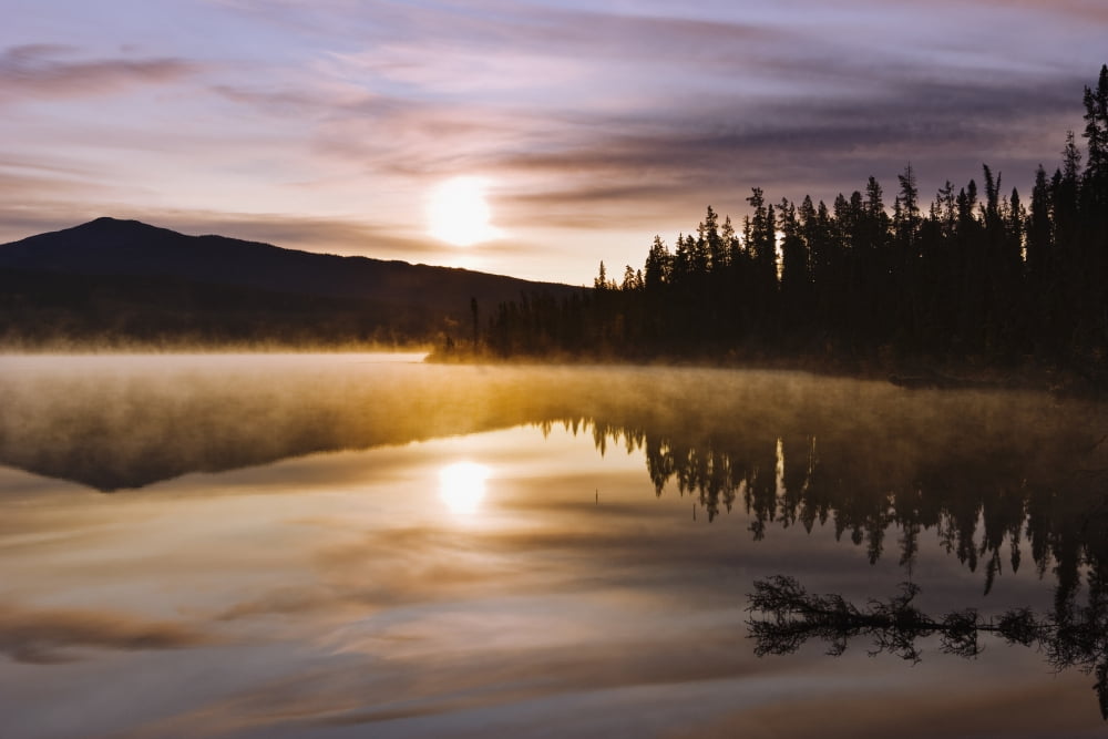 Mist Over Lake At Sunrise Northern British Columbia Canvas Art - Yves Marcoux Design Pics (34 x 22)