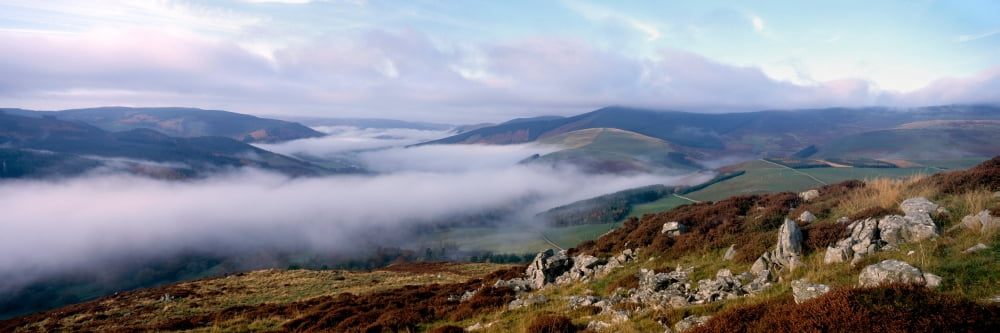 Mist in Tweed Valley Scottish Borders Scotland Canvas Art - Panoramic Images (36 x 12)