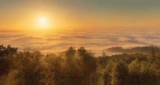 Mist over the River Exe-Devon-England Canvas Art - David Clapp (12 x 18)