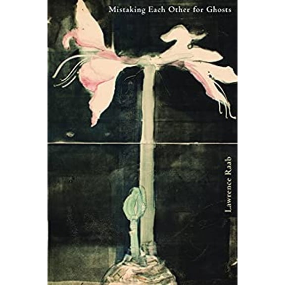 Pre-Owned Mistaking Each Other for Ghosts (Paperback) 1936797658 9781936797653