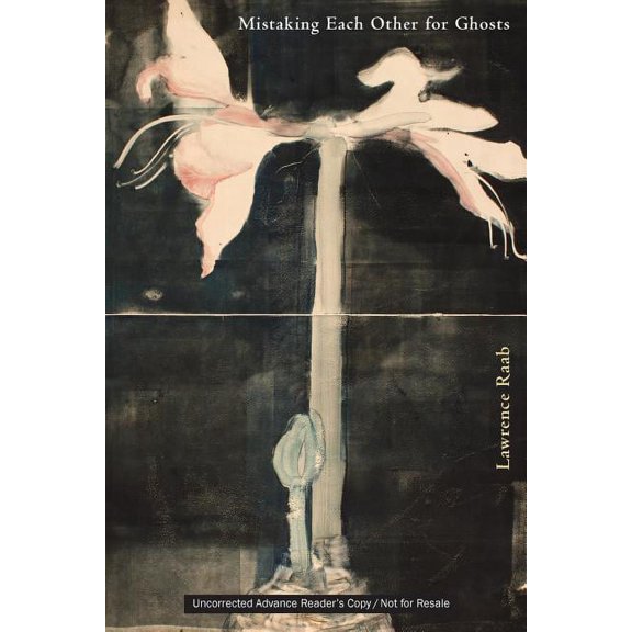 Pre-Owned Mistaking Each Other for Ghosts (Paperback)