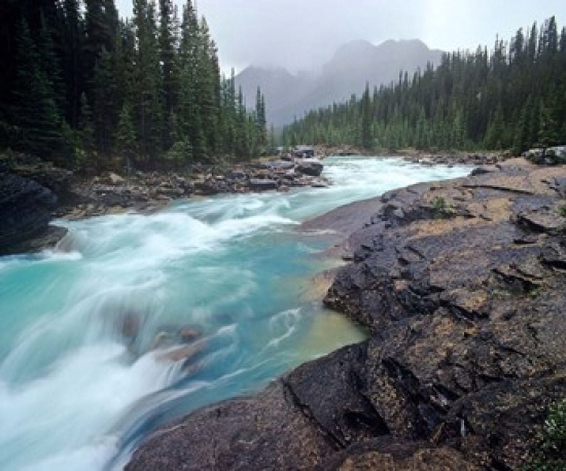 Mistaya River in Banff National Park in Alberta Canada Canvas Art - Chuck Haney DanitaDelimont (18 x 15)
