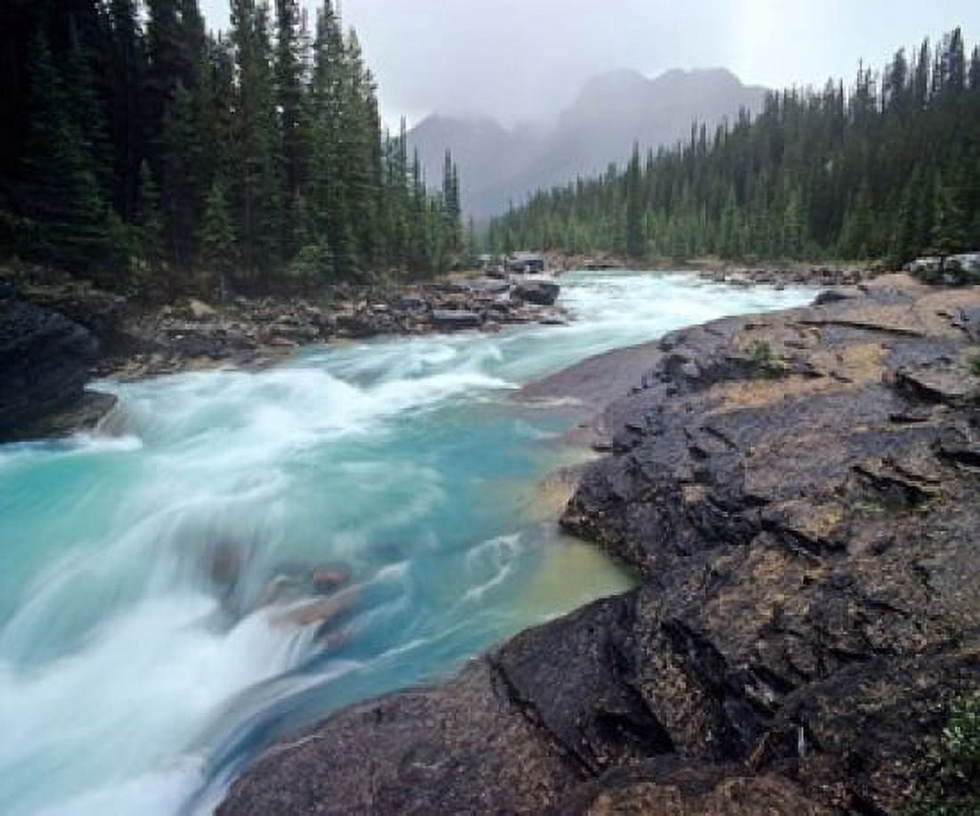 Mistaya River in Banff National Park in Alberta Canada Canvas Art - Chuck Haney DanitaDelimont (36 x 30)