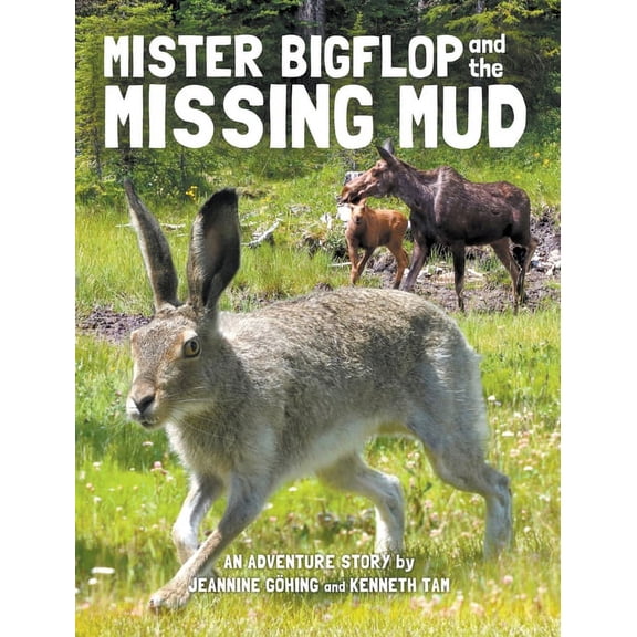 Mister Bigflop and the Missing Mud, (Hardcover)