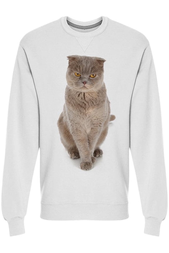 Misterious Furry Cat Sweatshirt Men -Image by Shutterstock Men Sweatshirt, Male Small