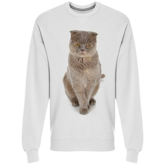 Misterious Furry Cat Sweatshirt Men -Image by Shutterstock Men Sweatshirt, Male x-Large