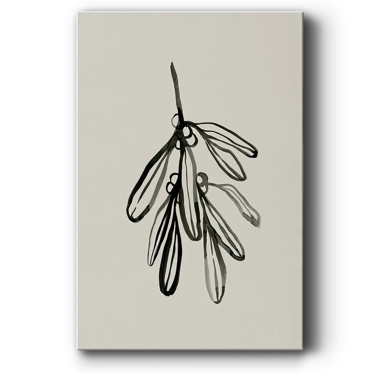 Mistletoe Sketch I- Gallery Wrapped Canvas