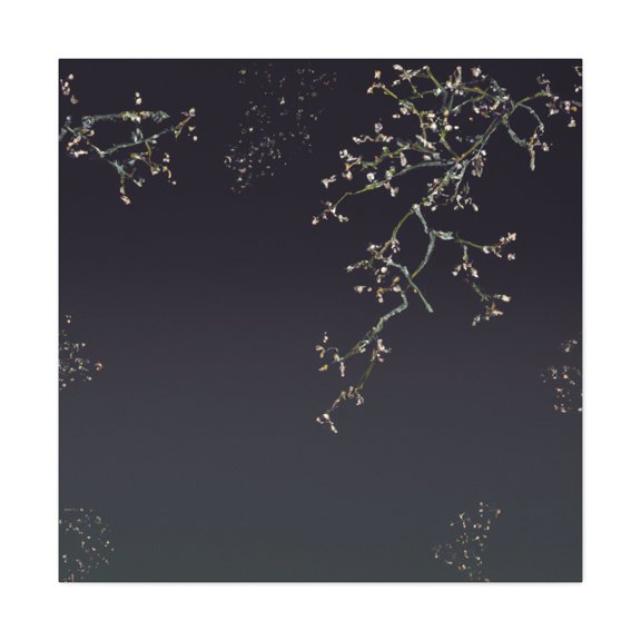 Mistletoe in Monochrome - Canvas