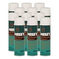 thumbnail image 1 of 19 oz. Aerosol Spray All-Purpose Cleaner - Mint Scent (12/Carton), 1 of 2