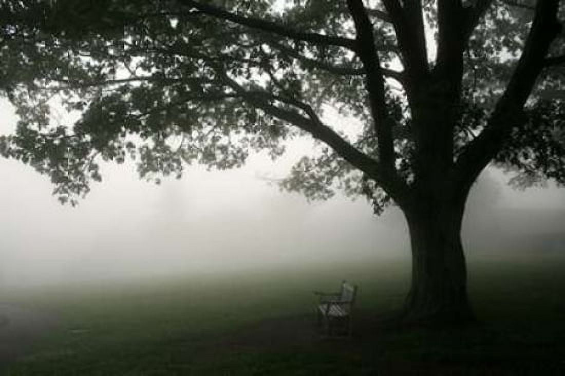Misty Bench Canvas Art - PhotoINC Studio (12 x 18)